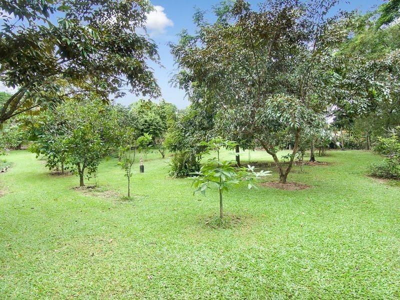 116 Upper Cassowary Road, Cape Tribulation QLD 4873