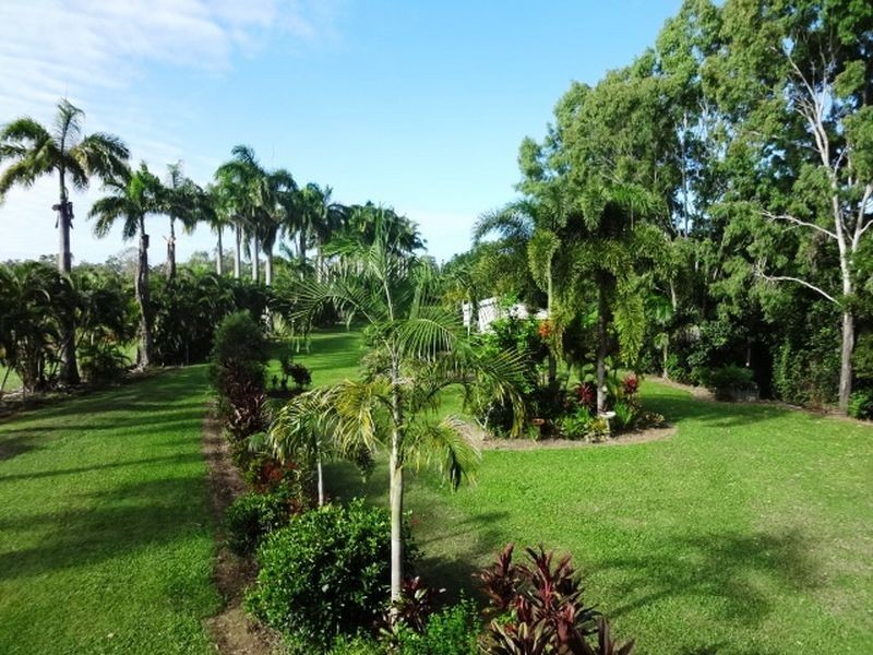 31 Mowbray River Road, Mowbray QLD 4877