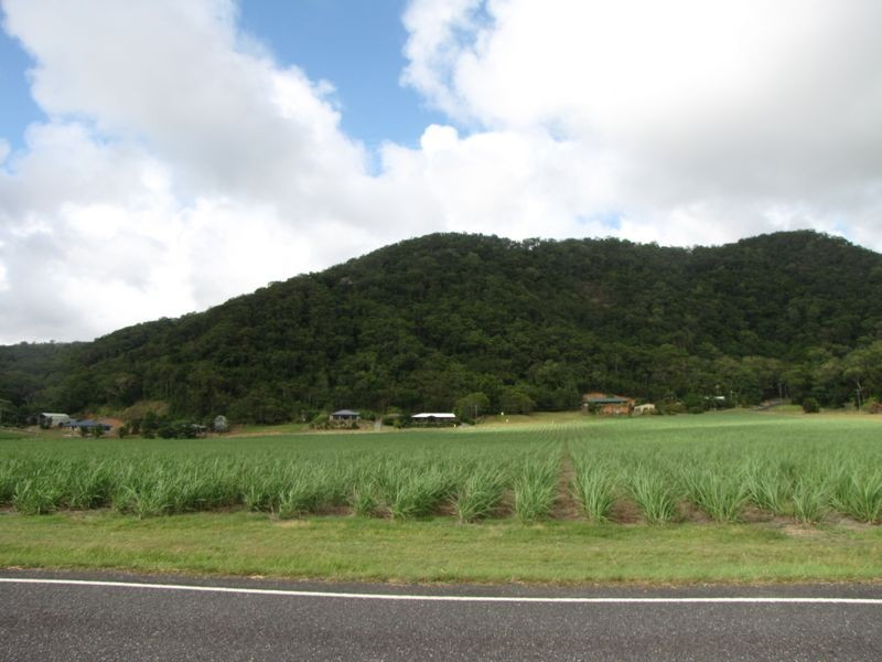 9 De Meio Drive, Wonga QLD 4873