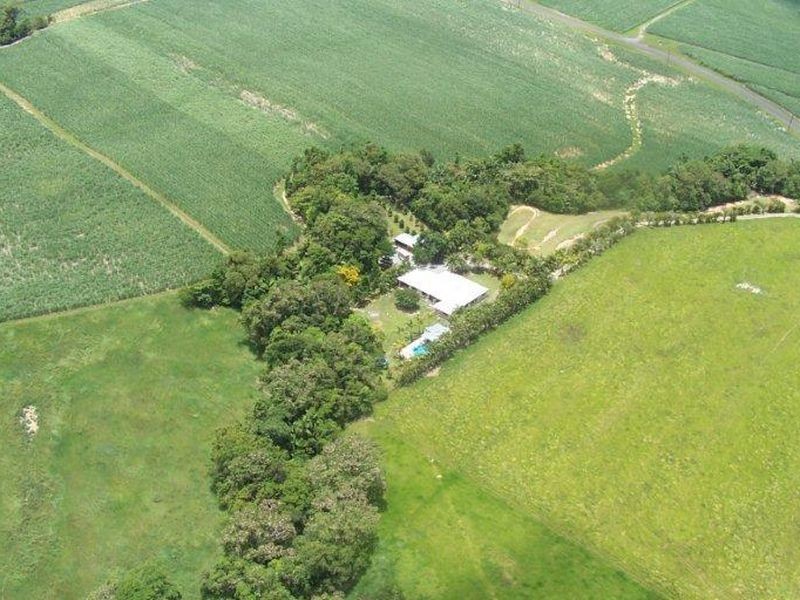 582 Miallo Bamboo Creek Road, Miallo QLD 4873