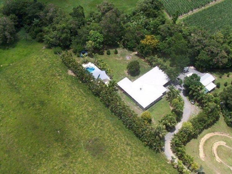 582 Miallo Bamboo Creek Road, Miallo QLD 4873