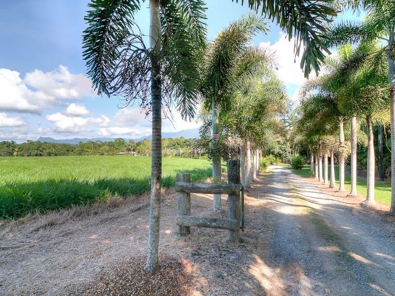 582 Miallo Bamboo Creek Road, Miallo QLD 4873