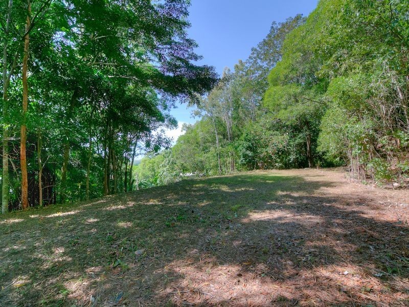 21 Mowbray River Road, Mowbray QLD 4877