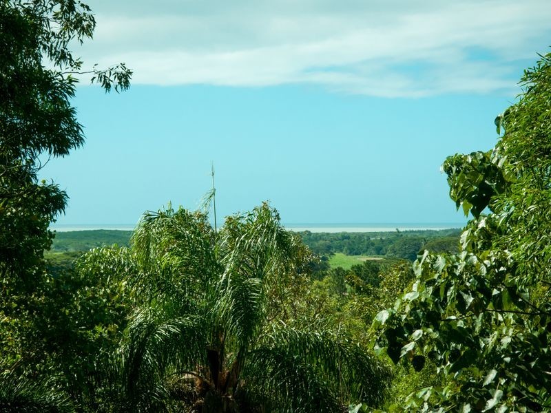 21 Mowbray River Road, Mowbray QLD 4877