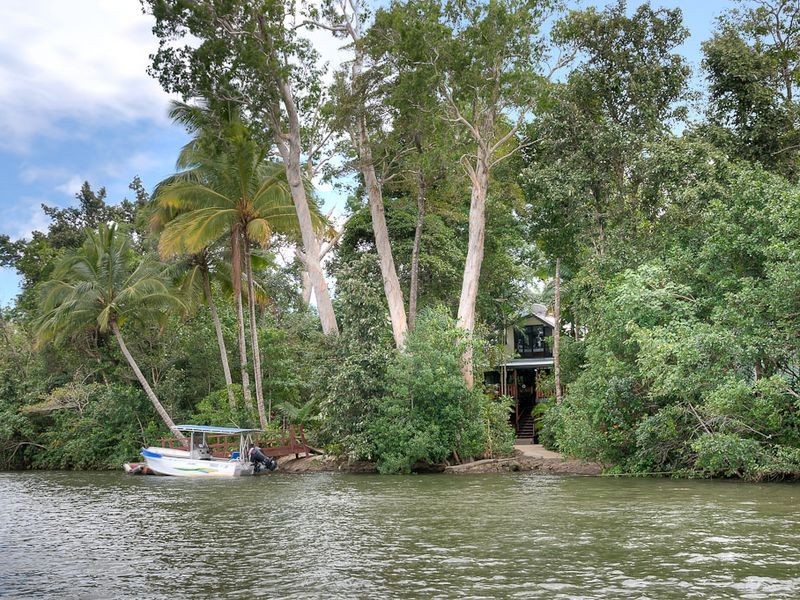 61 Daintree River House, Daintree QLD 4873