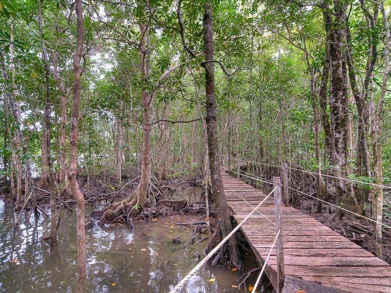 61 Daintree River House, Daintree QLD 4873