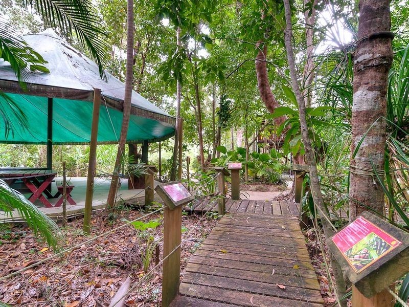 61 Daintree River House, Daintree QLD 4873