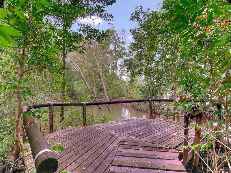 61 Daintree River House, Daintree QLD 4873