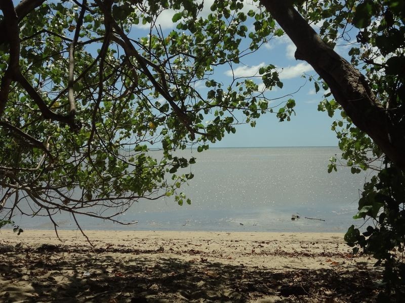 16 Ocean Avenue, Cooya Beach QLD 4873