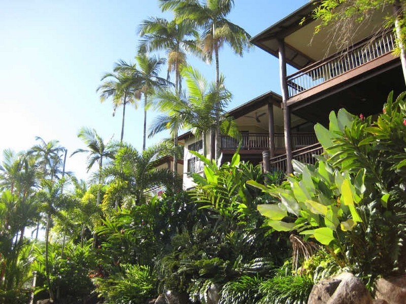 5/3 Murphy Street, Port Douglas QLD 4877