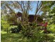 353 Fraser Road, Mount Molloy QLD 4871