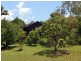 353 Fraser Road, Mount Molloy QLD 4871