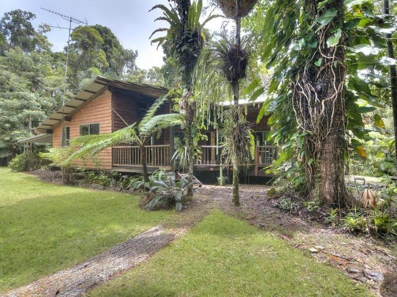 1547 Cape Tribulation Road, Daintree QLD 4873