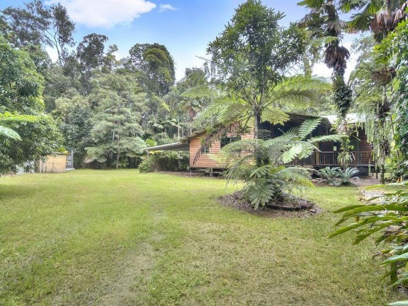 1547 Cape Tribulation Road, Daintree QLD 4873