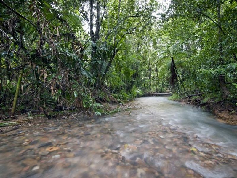 1547 Cape Tribulation Road, Daintree QLD 4873