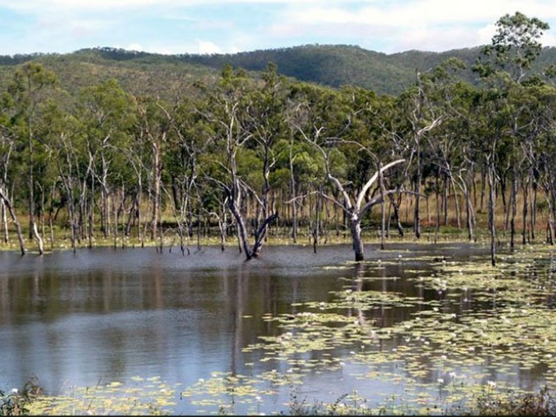 Lot/3 Peninsula Development, Lakeland QLD 4871
