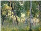 Lot/3 Peninsula Development, Lakeland QLD 4871