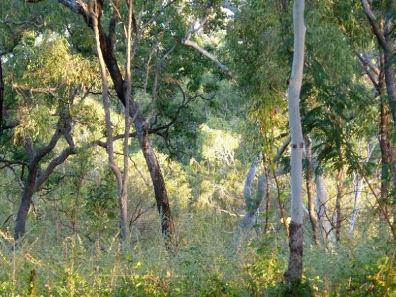 Lot/3 Peninsula Development, Lakeland QLD 4871