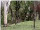 Lot/3 Peninsula Development, Lakeland QLD 4871