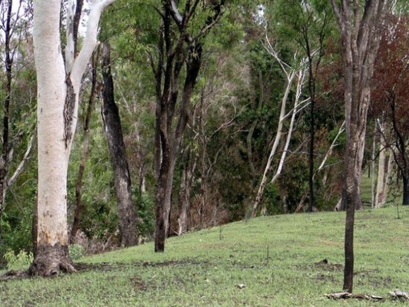 Lot/3 Peninsula Development, Lakeland QLD 4871