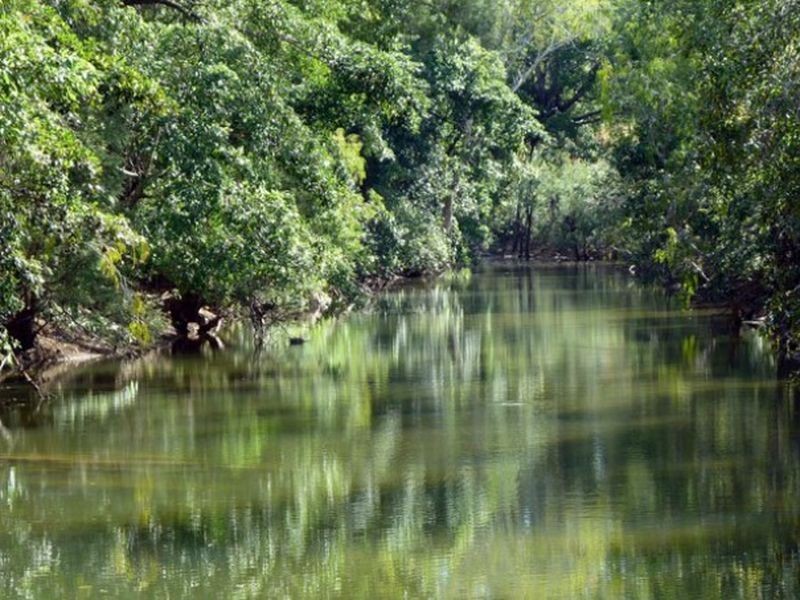 Lot/3 Peninsula Development, Lakeland QLD 4871