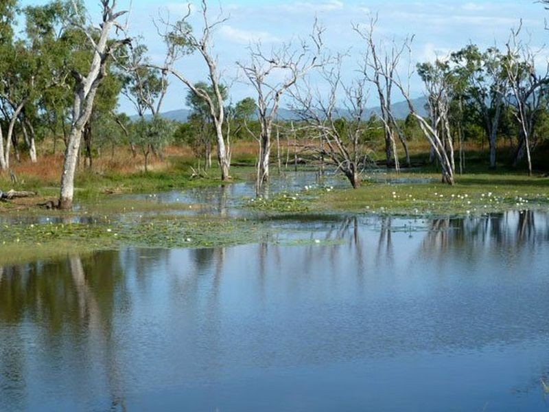 Lot/3 Peninsula Development, Lakeland QLD 4871