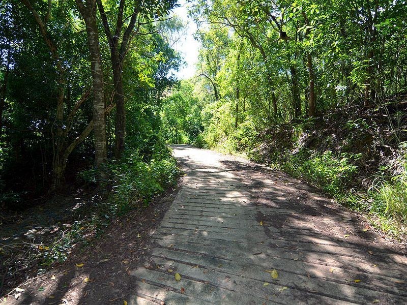 74 Spring Creek Road, Port Douglas QLD 4877