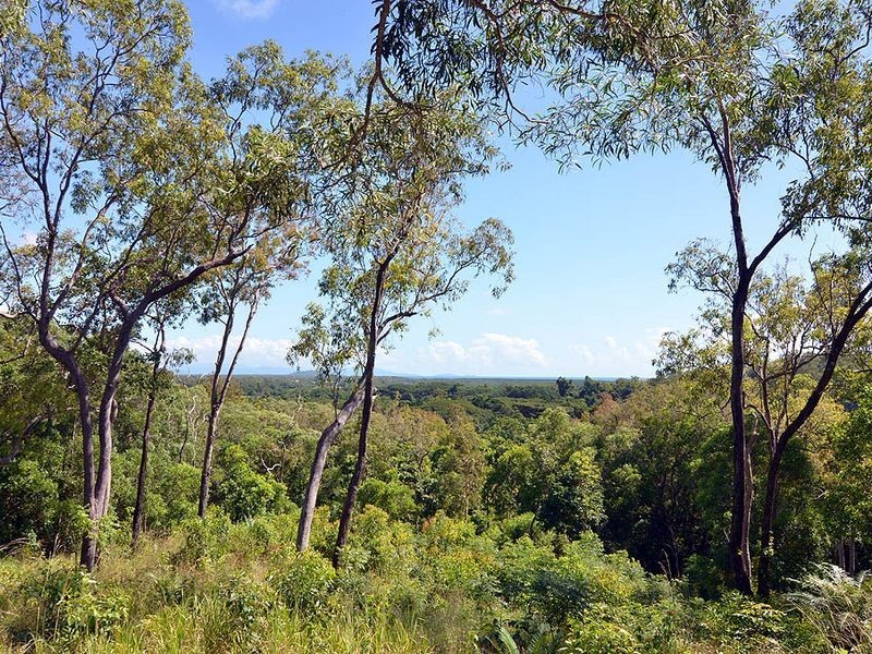 74 Spring Creek Road, Port Douglas QLD 4877