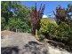 74 Spring Creek Road, Port Douglas QLD 4877