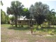 133 South Arm Drive, Wonga QLD 4873