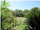 133 South Arm Drive, Wonga QLD 4873