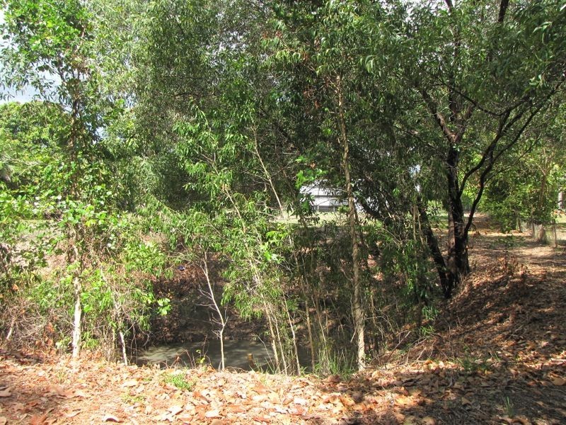 133 South Arm Drive, Wonga QLD 4873