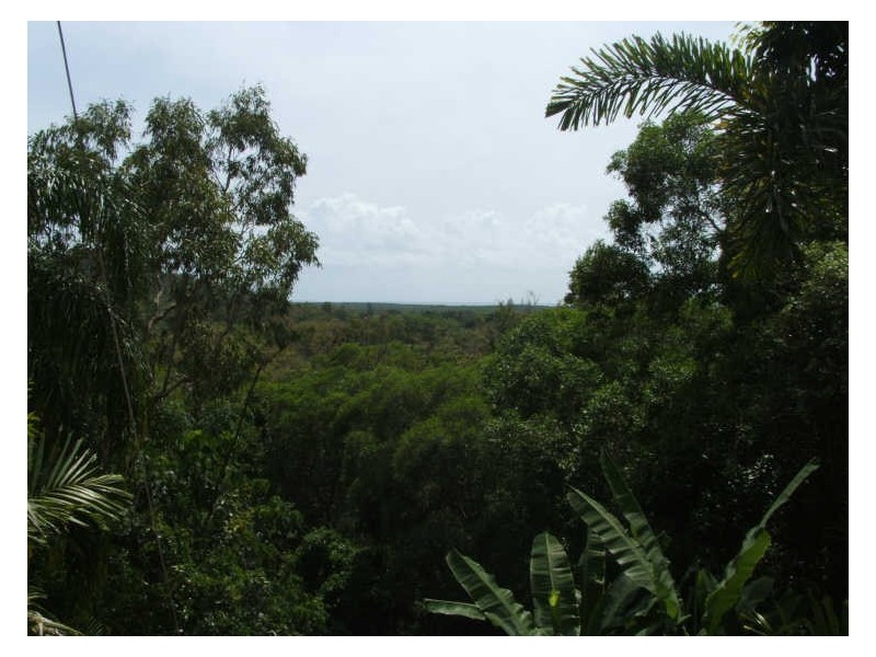 Lot 254 (2 Mowbray River Road, Mowbray QLD 4877