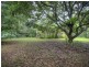 Lot 51 George Road Forest Creek, Daintree QLD 4873