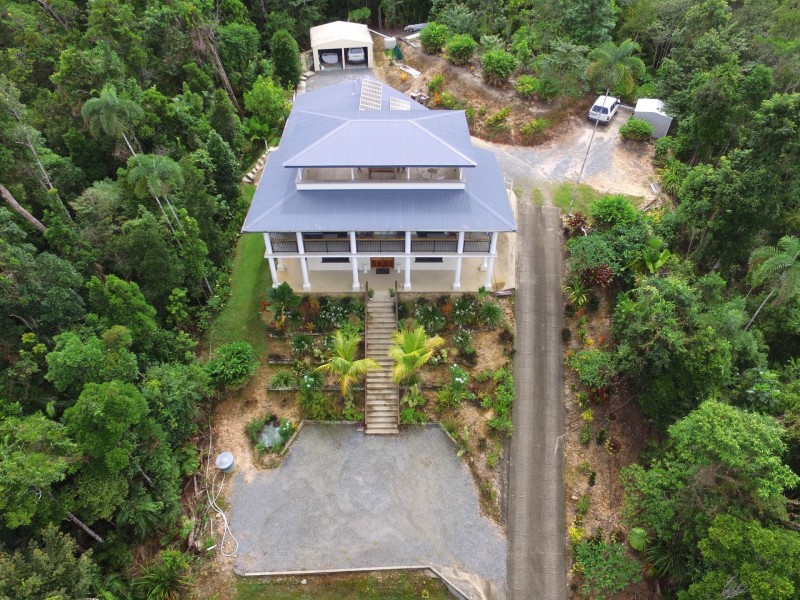 258 Forest Creek Road Forest Creek, Daintree QLD 4873