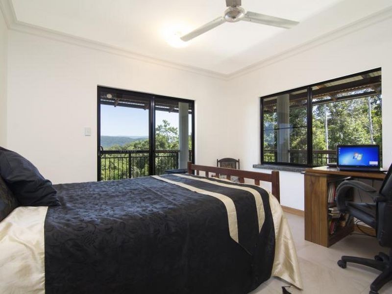 258 Forest Creek Road Forest Creek, Daintree QLD 4873