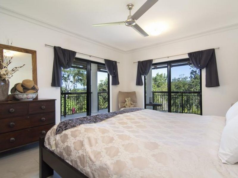 258 Forest Creek Road Forest Creek, Daintree QLD 4873