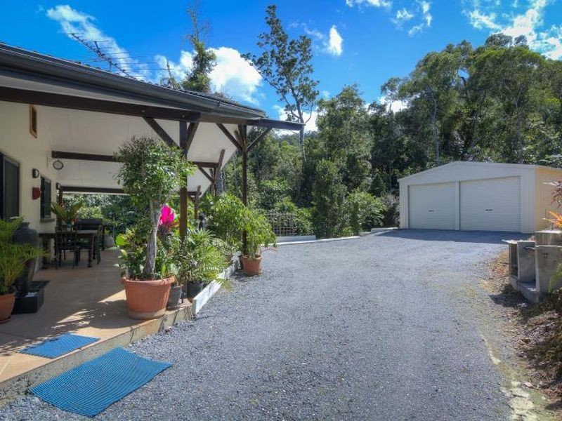 258 Forest Creek Road Forest Creek, Daintree QLD 4873