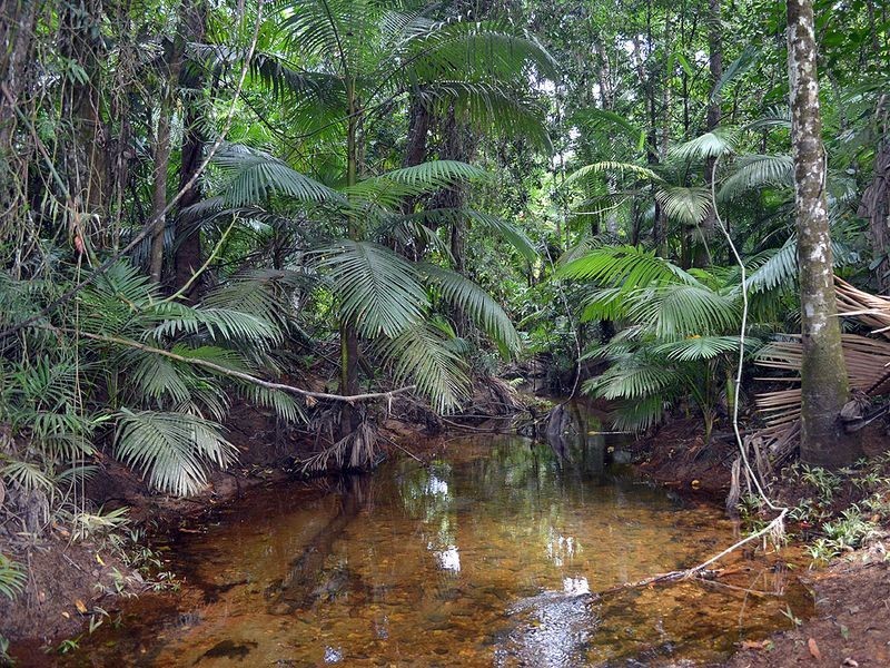 Kahana Road, Whyanbeel QLD 4873