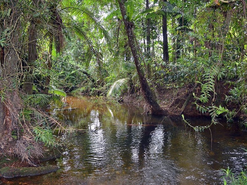 Kahana Road, Whyanbeel QLD 4873