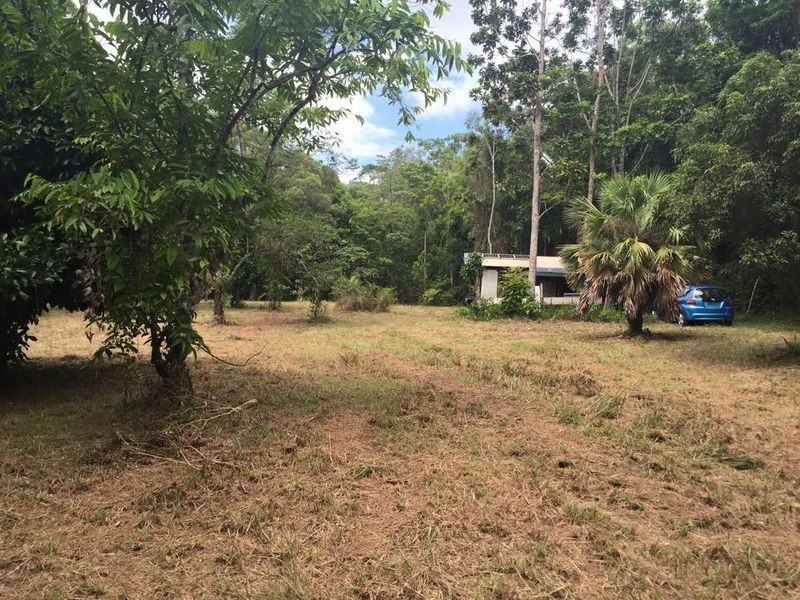 Lot 40 Ronald Road Forest Creek, Daintree QLD 4873