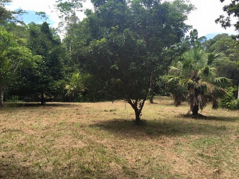 Lot 40 Ronald Road Forest Creek, Daintree QLD 4873