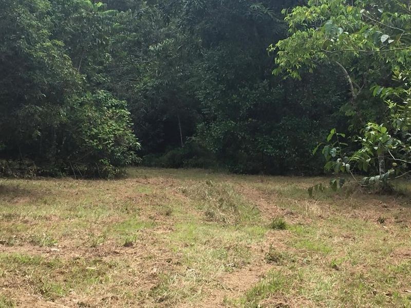 Lot 40 Ronald Road Forest Creek, Daintree QLD 4873