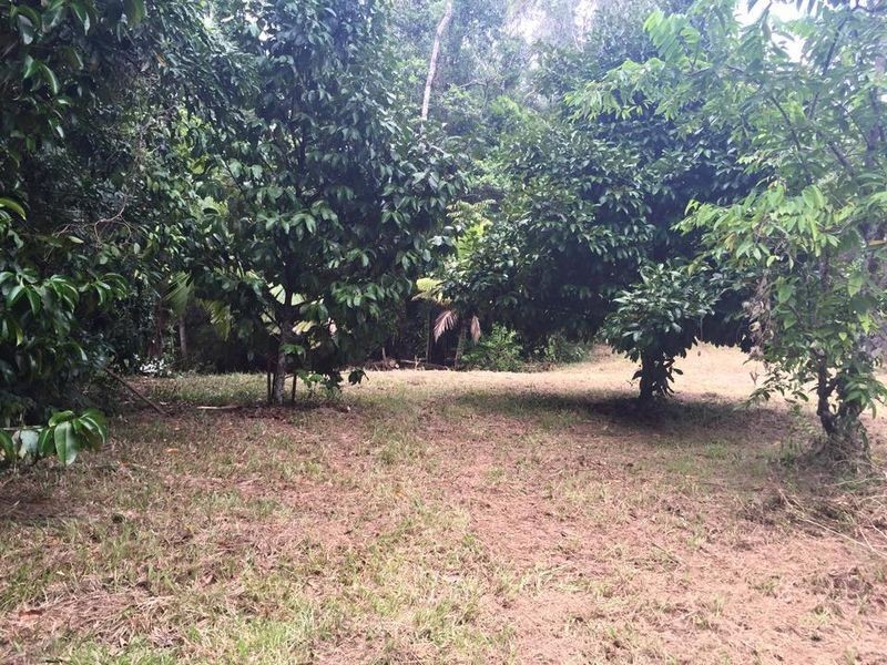 Lot 40 Ronald Road Forest Creek, Daintree QLD 4873