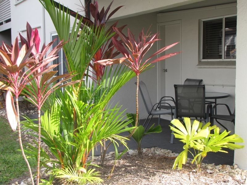 132 Reef Resort/121 Port Douglas Road, Port Douglas QLD 4877