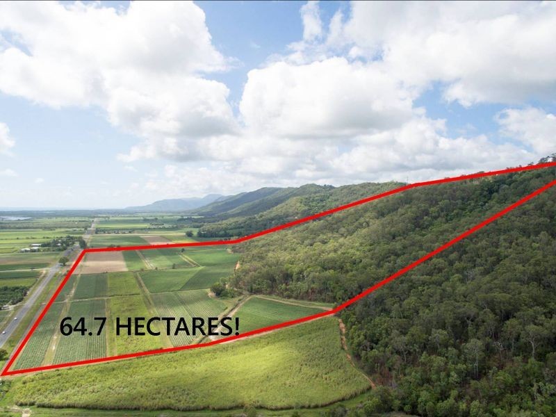 Lot 1 Captain Cook Highway, Killaloe, Port Douglas QLD 4877