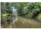 3 Cypress Road, Daintree QLD 4873