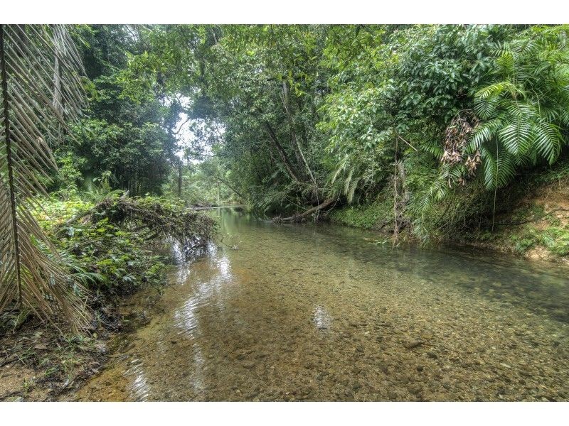 3 Cypress Road, Daintree QLD 4873