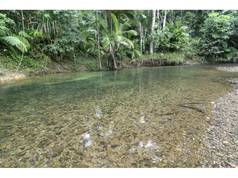 3 Cypress Road, Daintree QLD 4873