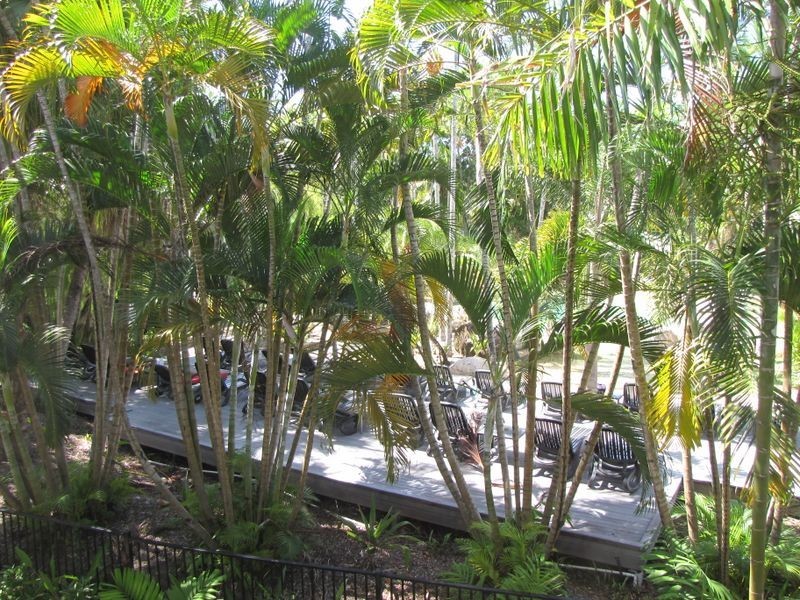 63 Reef Resort/121-137 Port Douglas Road, Port Douglas QLD 4877
